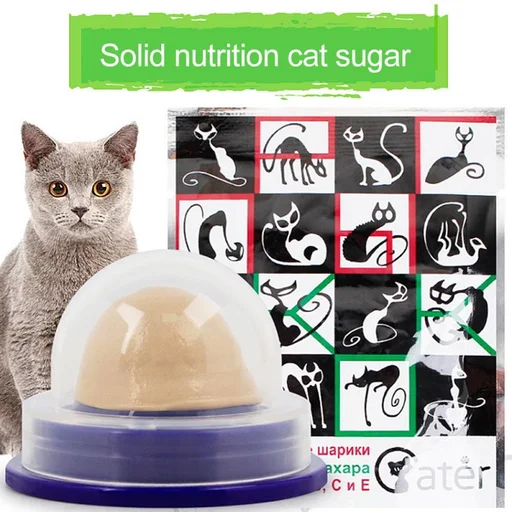 Kucing Melayan Snek Menjilat Bola Tenaga Gula