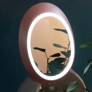 Mirror with Led Light