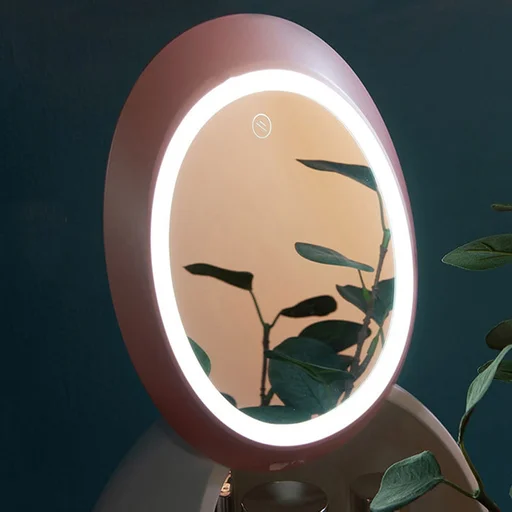 Mirror with Led Light