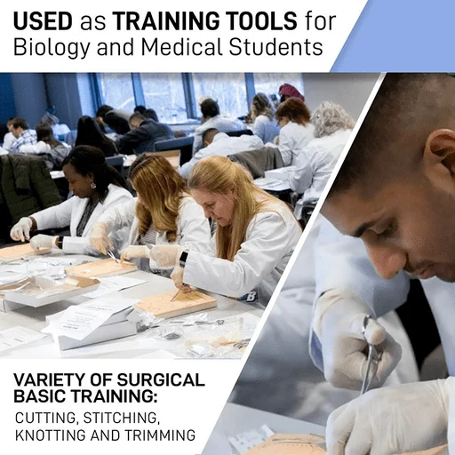 Chirurgesch Suture Training Praxis Kit