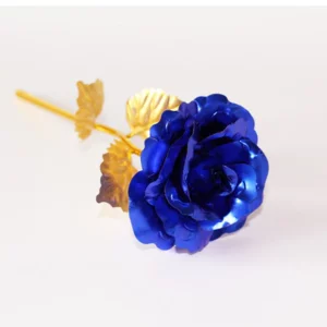 Creative Galaxy Rose