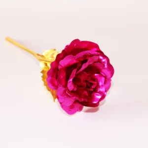 Creative Galaxy Rose