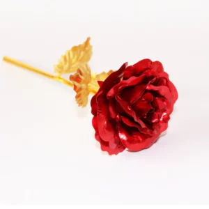 Creative Galaxy Rose
