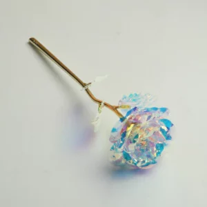 Creative Galaxy Rose
