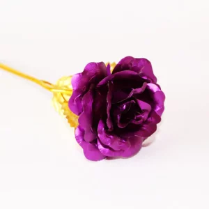 Creative Galaxy Rose