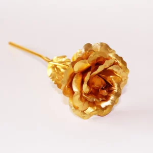 Creative Galaxy Rose