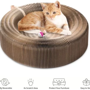 Magic Organ Cat Scratching Board