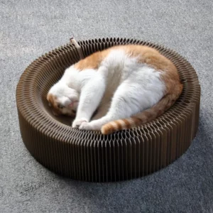 Magic Organ Cat Scratching Board