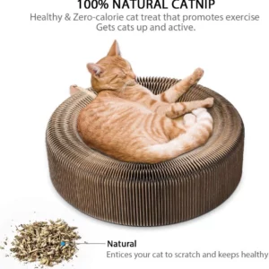 Magic Organ Cat Scratching Board