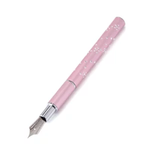 Nail Art Fountain Pen