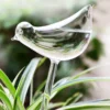 Watering Plant Glass Bulbs