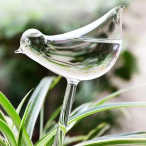 Watering Plant Glass Bulbs