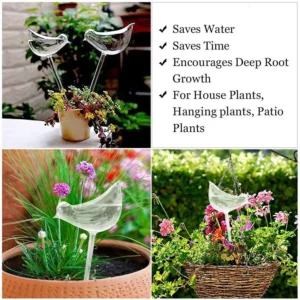 Watering Plant Glass Bulbs
