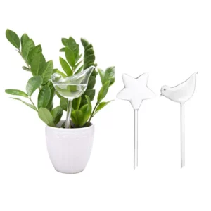 Watering Plant Glass Bulbs