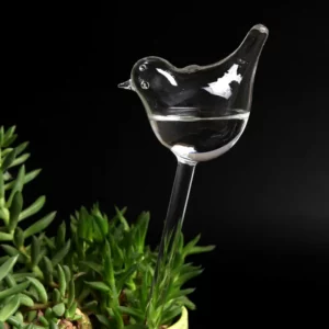 Watering Plant Glass Bulbs
