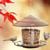Bird House and Feeder