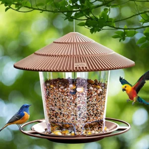 Bird House and Feeder
