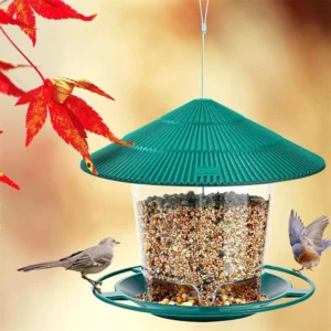 Bird House and Feeder