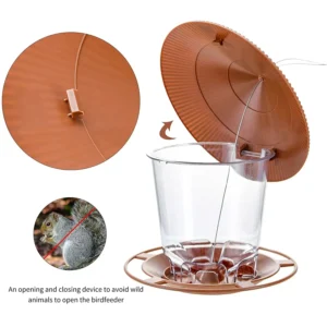 Bird House and Feeder