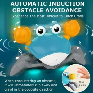 Crawling Crab Sensory Toy