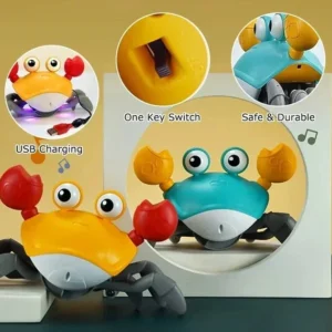 Crawling Crab Sensory Toy