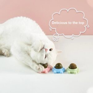 Catnip Ball Cat Toy