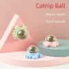 Catnip Balls