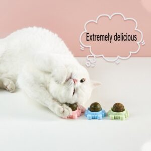 Catnip Balls