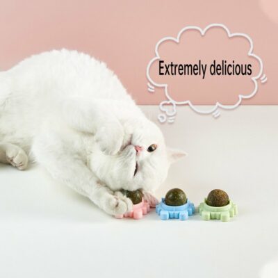 Catnip Balls