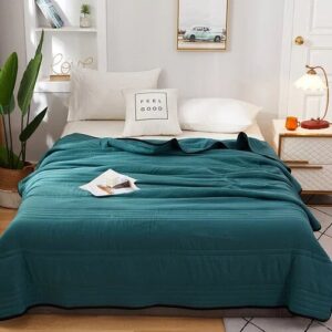Cool Ice Silk Summer Time Air Blanket