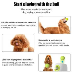 Dog Tennis Ball Launcher