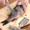Fish Descaler Tool