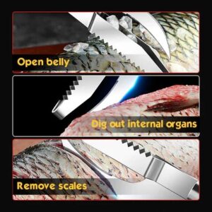 Fish Scale Knife Scraper Cutter