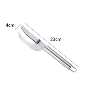 Fish Scale Knife Scraper Cutter