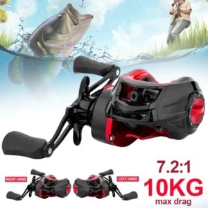 Fishing Ree
