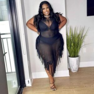 Fringe Mesh Dress