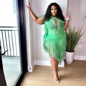 Fringe Mesh Dress