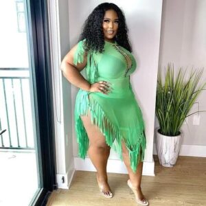 Fringe Mesh Dress