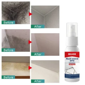 Mildew & Mold Removal Cleaner