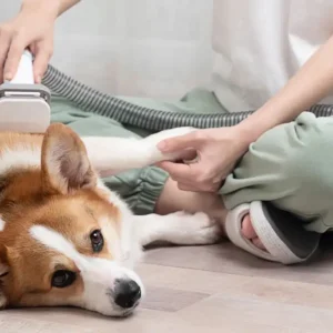 Professional Pet Grooming Vacuum Kit