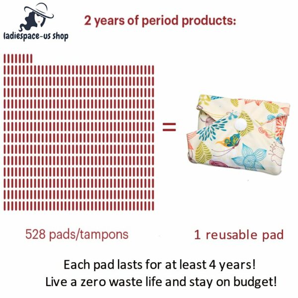 Have Both Health And Money Reusable Pads That Can Be Used For At Least 4 years Random Color