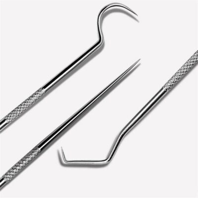 Stainless Steel Toothpick Set