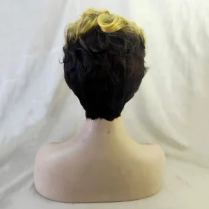 Women Wig