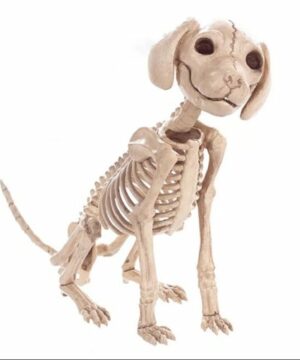 Animated Two Headed Skeleton Dog