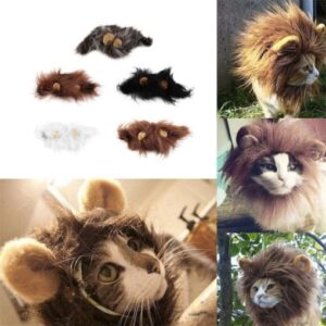 Cat Lion Mane For Sale