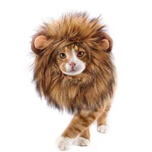 Cat Lion Mane For Sale