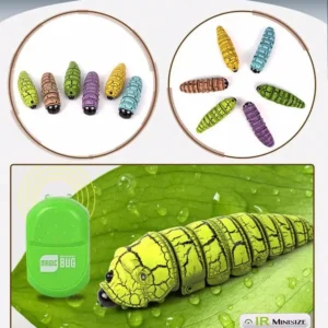 Magic Bug