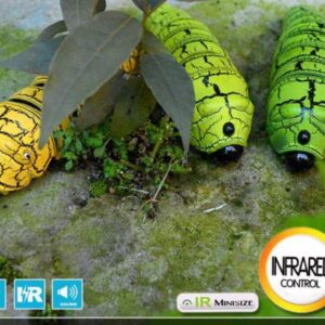 Magic Bug