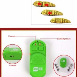 Magic Bug