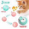 Rolling Ball Cat Toy
